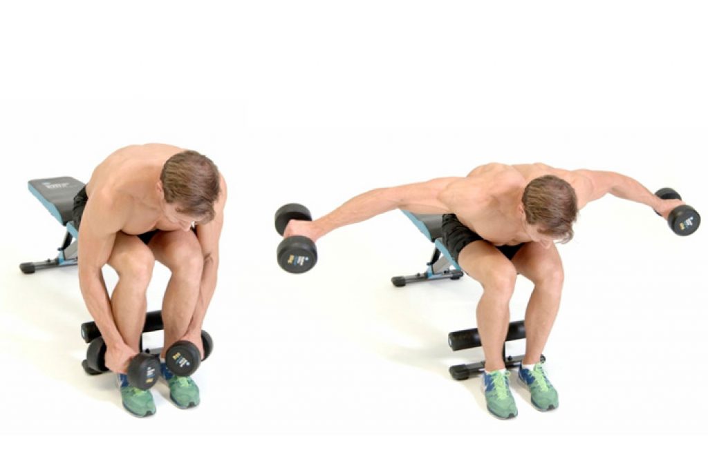 Dumbbell bent over Row упражнение