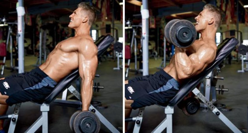 Seated Incline Dumbbell Curl