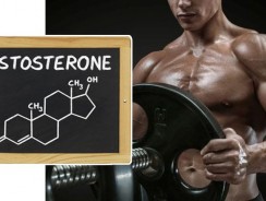 Топ — 9 секретов как быстро повысить естественный уровень тестостерона у мужчин
