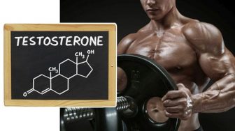 Топ — 9 секретов как быстро повысить естественный уровень тестостерона у мужчин